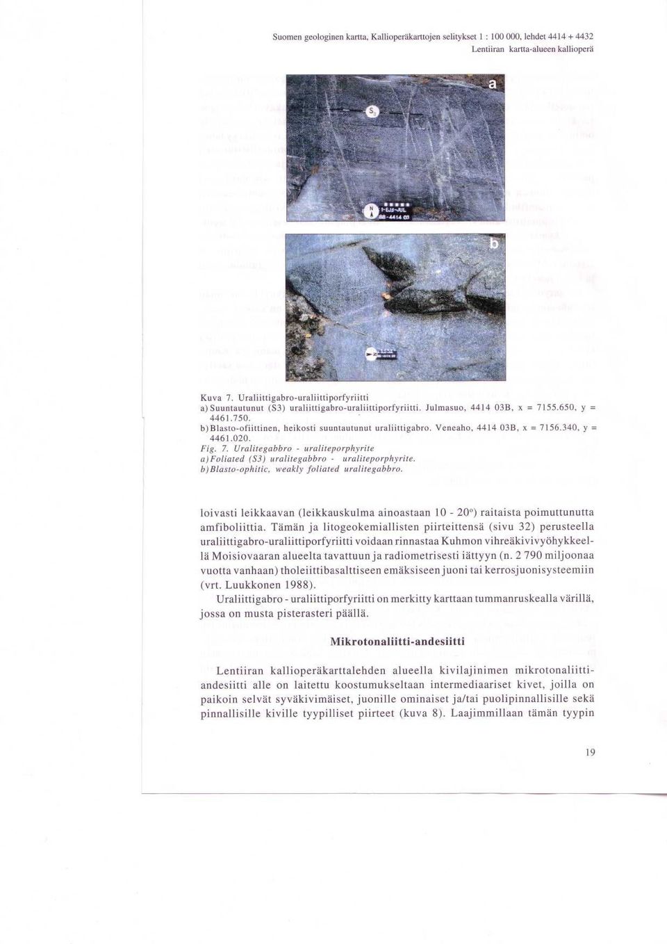 Veneaho, 4414 03B, x = 7156.340, y = 4461.020. Fig. 7. Uralitegabbro - uraliteporphyrite a)foliated (S3) uralitegabbro - uraliteporphyrite. b)blasto-ophitic, weakly foliated uralitegabbro.