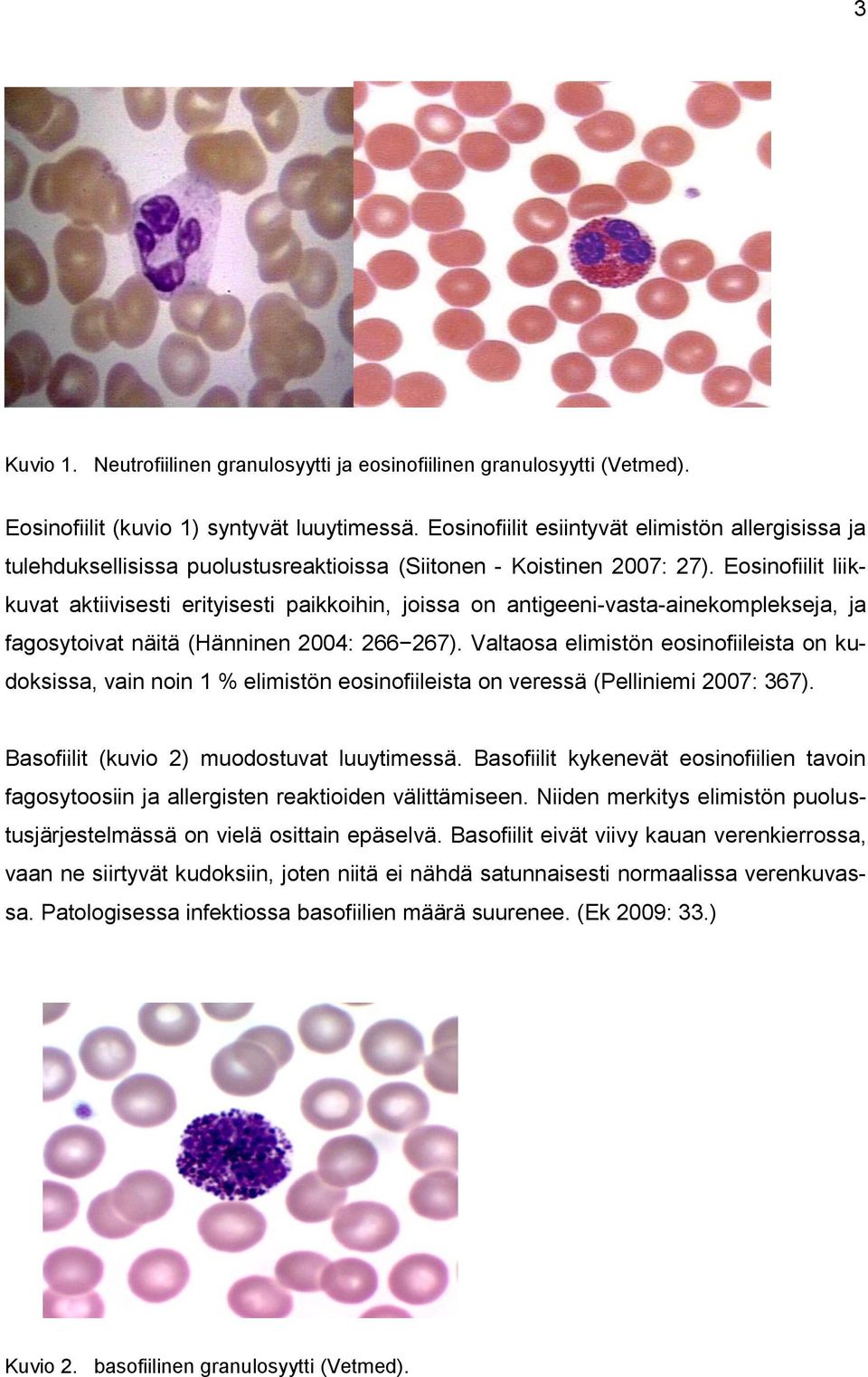Eosinofiilit liikkuvat aktiivisesti erityisesti paikkoihin, joissa on antigeeni-vasta-ainekomplekseja, ja fagosytoivat näitä (Hänninen 2004: 266 267).