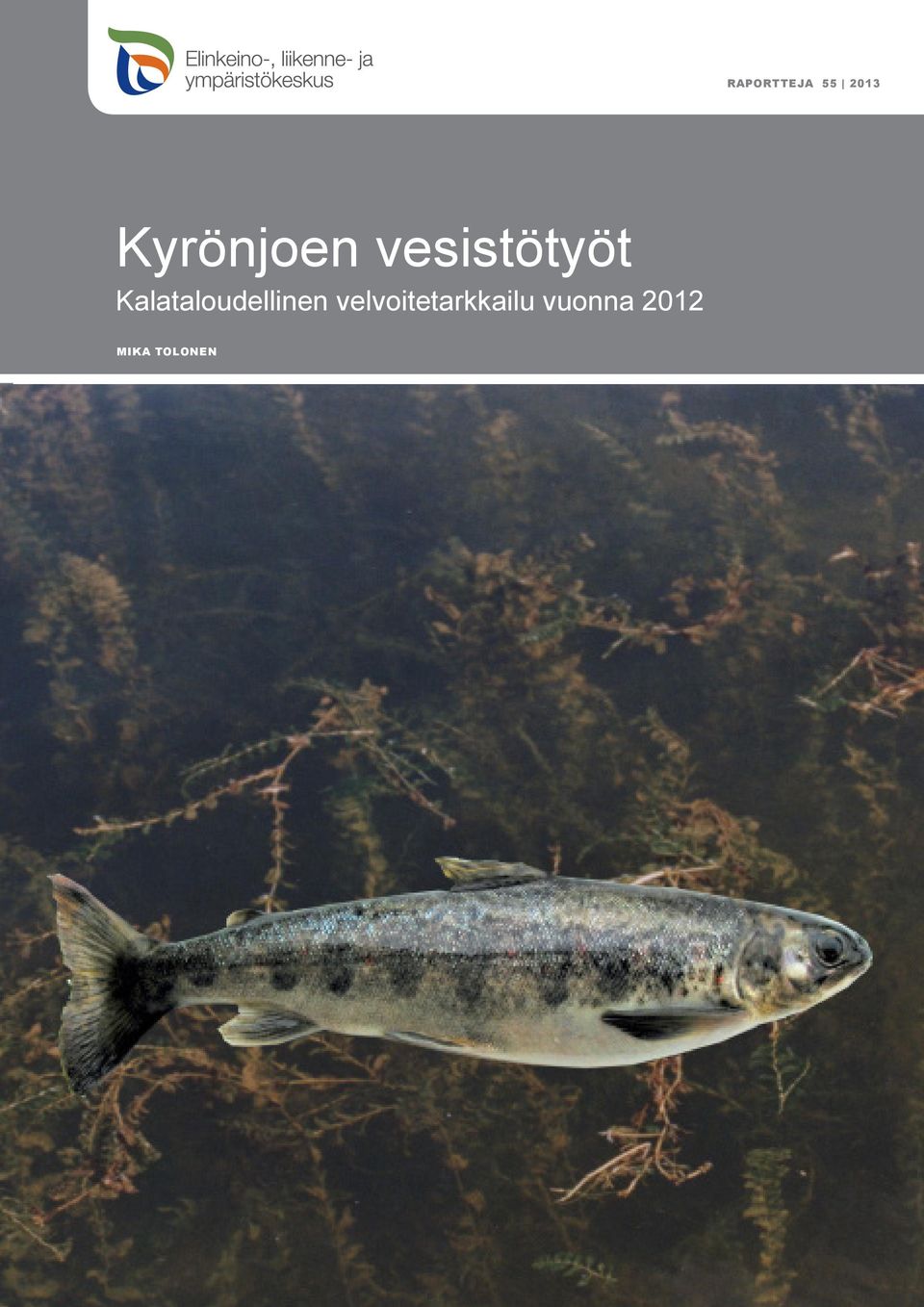 Kalataloudellinen