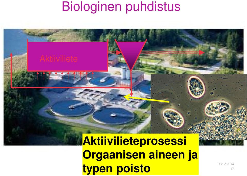 prosessi Orgaanisen