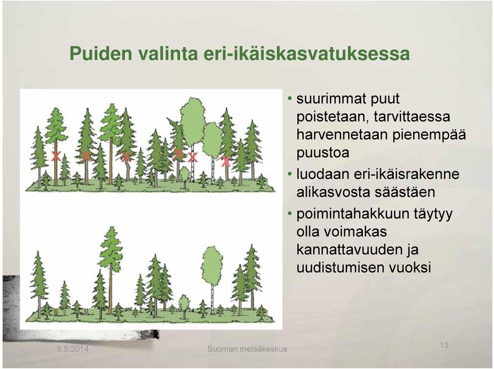 eri-ikäisrakenne alikasvosta säästäen poimintahakkuun täytyy