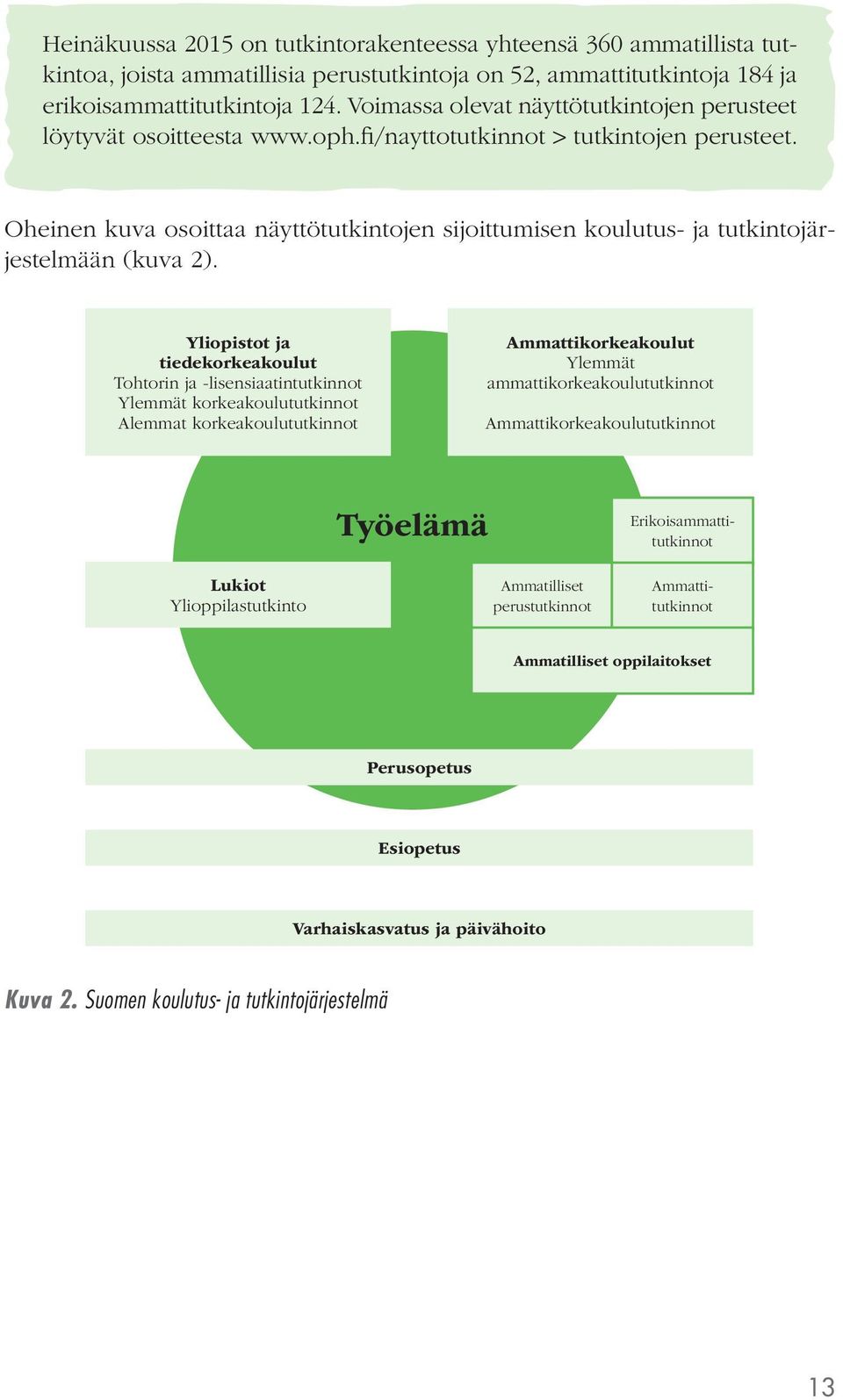 Oheinen kuva osoittaa näyttötutkintojen sijoittumisen koulutus- ja tutkintojärjestelmään (kuva 2).