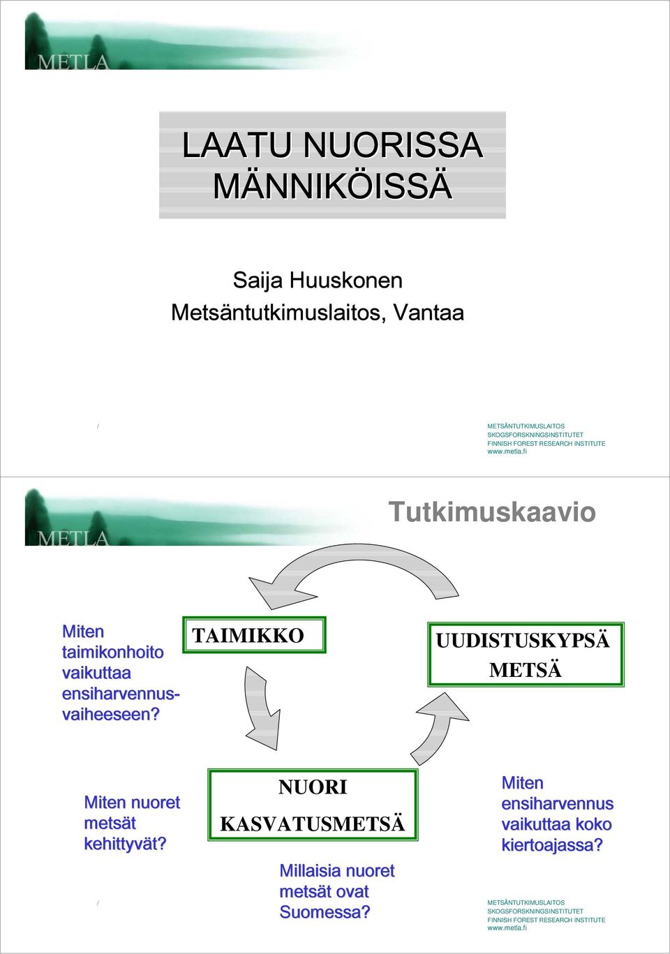 TAIMIKKO UUDISTUSKYPSÄ METSÄ Miten nuoret metsät kehittyvät?