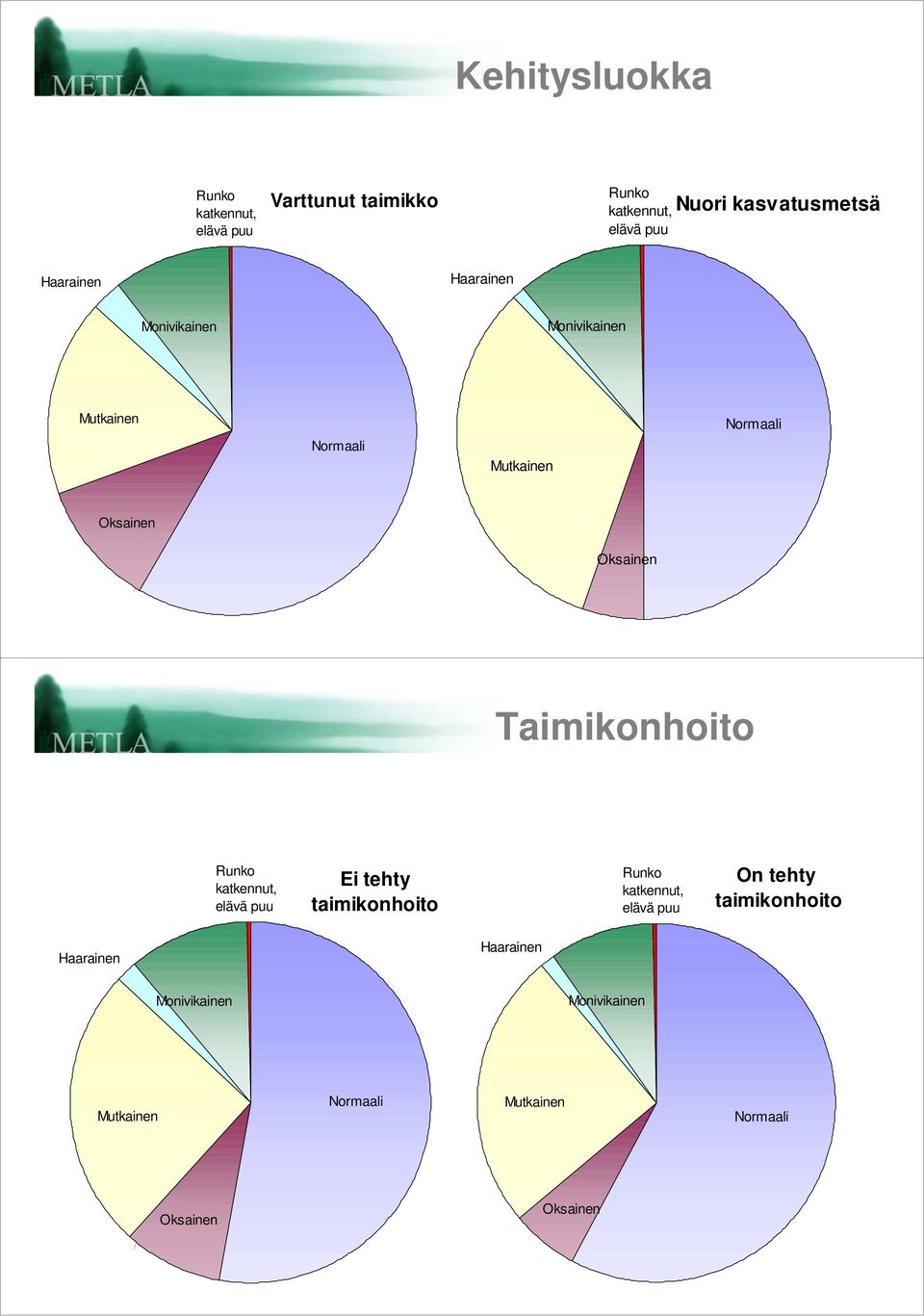 kasvatusmetsä Taimikonhoito