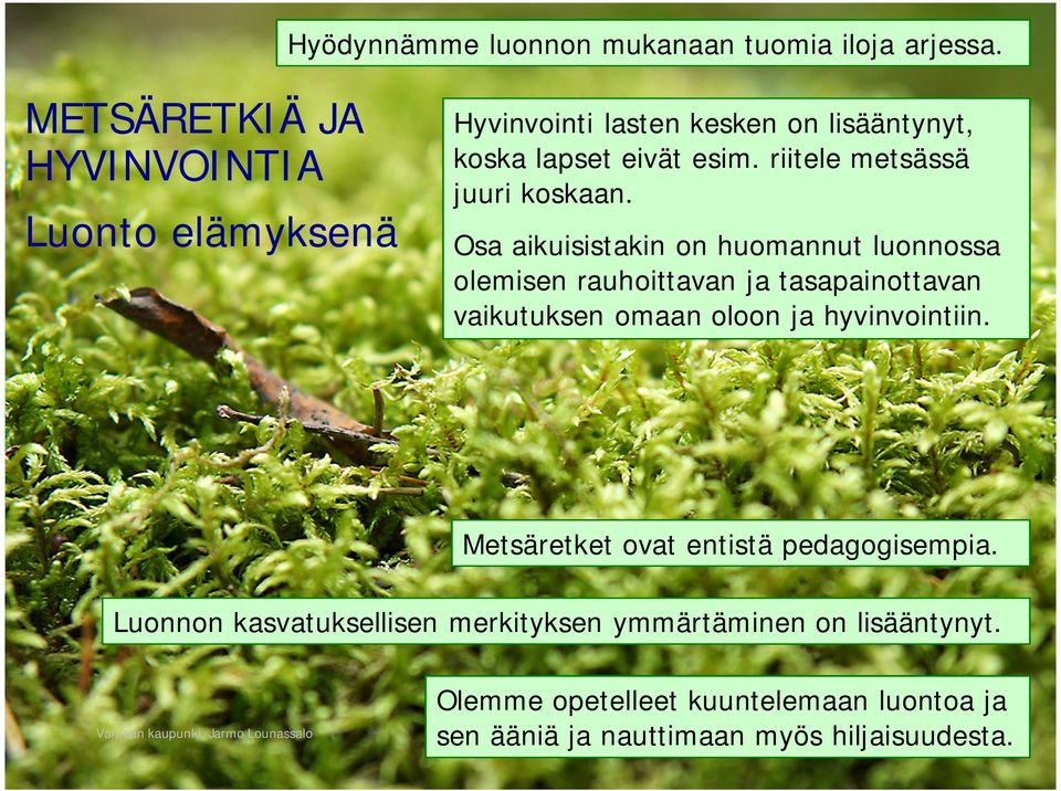 riitele metsässä juuri koskaan.