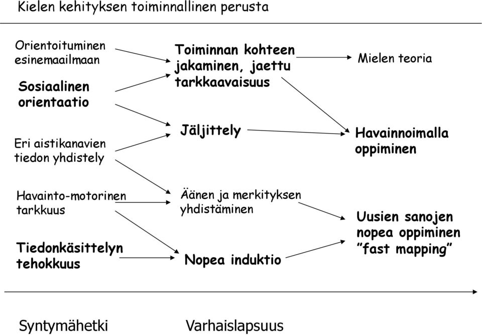 teoria Havainnoimalla oppiminen Havainto-motorinen tarkkuus Tiedonkäsittelyn tehokkuus Äänen ja