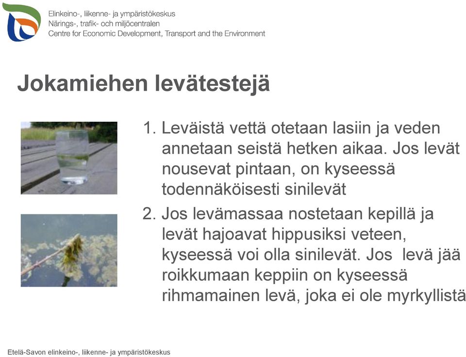 Jos levät nousevat pintaan, on kyseessä todennäköisesti sinilevät 2.