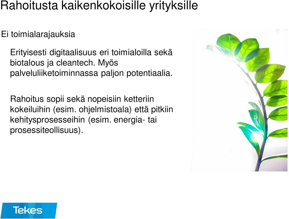 Myös palveluliiketoiminnassa paljon potentiaalia.