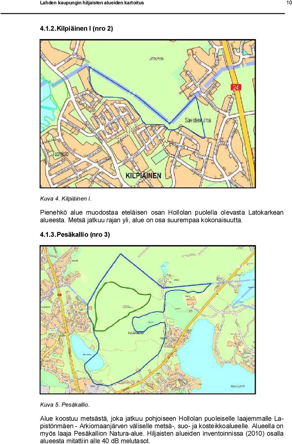 Metsä jatkuu rajan yli, alue on osa suurempaa kokonaisuutta. 4.1.3. Pesäkallio 