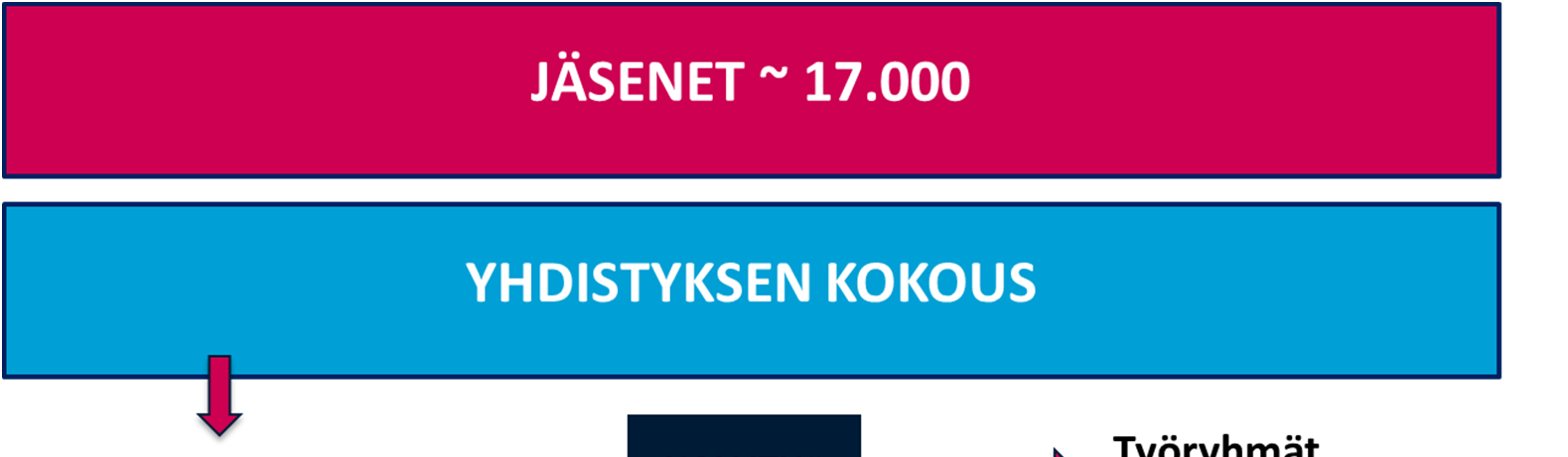 4 HALLINTO 4.1 HALLINTORAKENNE Yhdistyksellä on vuonna 2017 yksi sääntömääräinen kokous, joka kutsutaan koolle sääntöjen mukaisesti vähintään viisi päivää ennen kokousta.