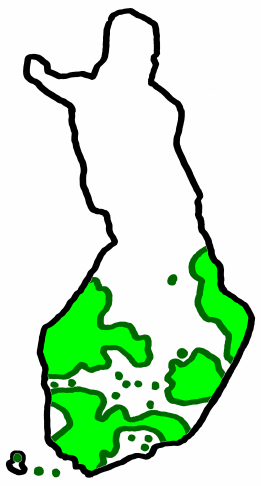 EVANKELISUUS Perustajana pappi Fredrik Gabriel Hedberg. Korostukset: 1. Omistava usko = lapsikasteen ja Jeesuksen ristinkuoleman takia olemme jo pelastettuja 2. Martti Lutherin teokset 3.