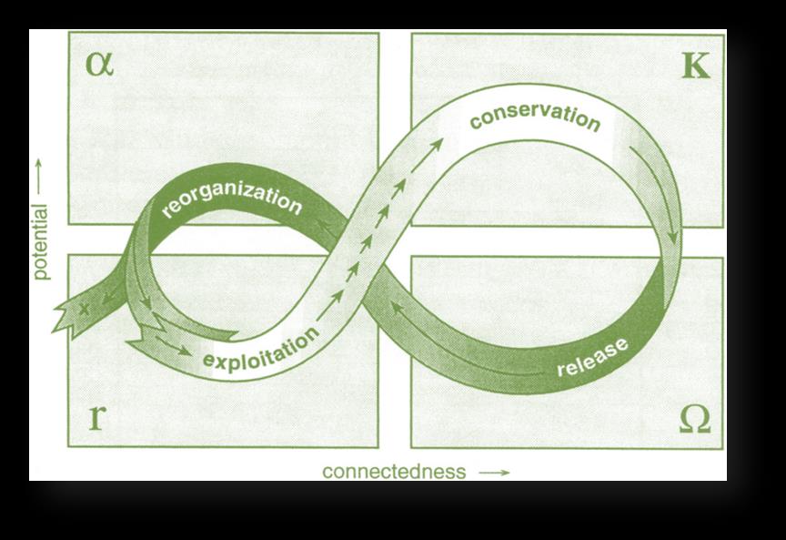 Holling 1986, re- printed from Gunderson and Holling 2001 with permission of Island Press.