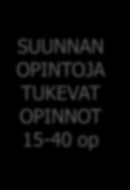 Suunnan opintoja tukevat opinnot SUUNNAN OPINTOJA TUKEVAT OPINNOT 15-40 op täydentävät suunnan teoreettista tietämystä ohjelman ja suunnan tieteenaloista, antavat pohjaa myöhemmille opinnoille ja