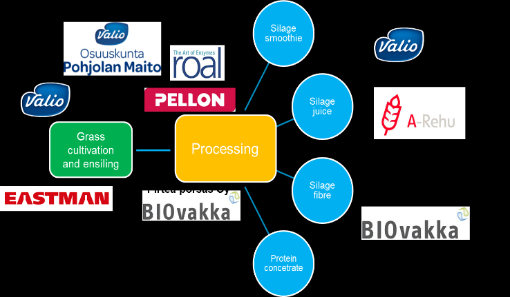 products INNOFEED Projektia