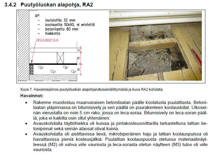 Pylkönmäki, kuntotutkimus Koolauspuussa Vahva