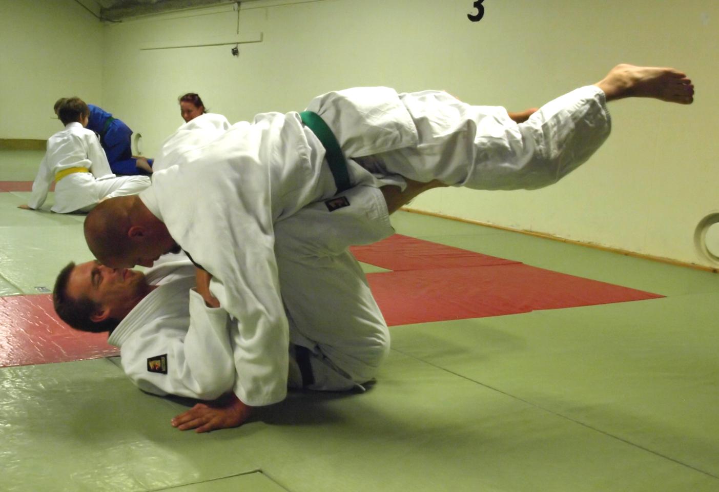 2011 Judoseura Sakura