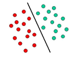 Suuria odotuksia (1952-1969) Perceptron