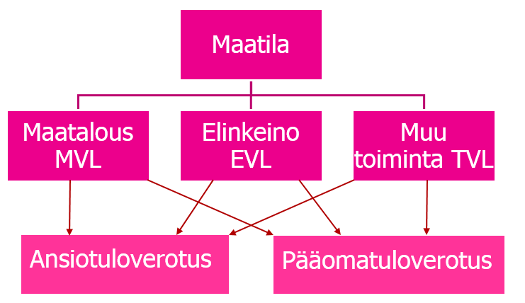 14 (72) veroilmoitus, 2-lomake.