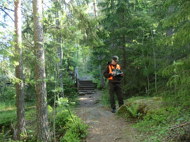 Jo aiemmassa suunnitelmassa ehdotettu taimikon- ja nuorenmetsänhoitotyötä teetettiin Ruuhonpurnusaarella n. 5 ha alalla.