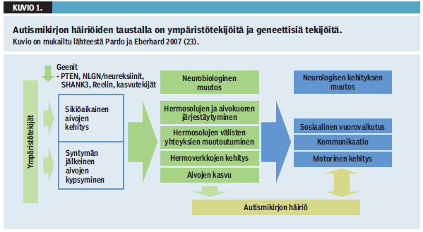 CASTREN M, KYLLIÄINEN A.