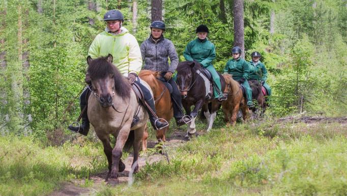 Vierumäki 28.11.2016 4.12.2016 UIMAHALLI puh. 010 5777 227 Aukioloajat : Virkistysaltaat ma,ti,to,pe klo 14.00-21.00 ke,la klo 09.00 21.00 su klo 09.00 16.00 Kuntoallas ma,ti,to,pe klo 14.00-21.00* ke,la klo 09.