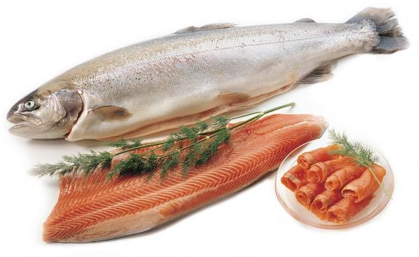 Kotimainen vesiviljelytuotanto pääosin kirjolohta Suomen ruokakalatuotanto lisääntyi nopeasti 1980-luvulla ja oli parhaimmillaan 1990-luvun taitteessa yli 19 miljoonaa kiloa.