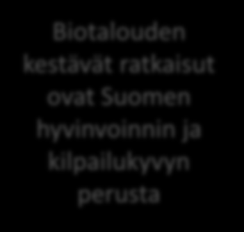 Strategiset päämäärät Toimeenpano ja seuranta Suomen biotalousstrategian tavoitteena 100 mrd tuotanto Onko se realistista?? 1. KILPAILUKYKYINEN BIOTALOUDEN TOIMINTAYMPÄRISTÖ 2.