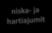 Älä jumitu istumaan! Suuri osa kouluikäisten valveillaoloajasta kuluu koulussa ja koulumatkoilla yleensä istuen.