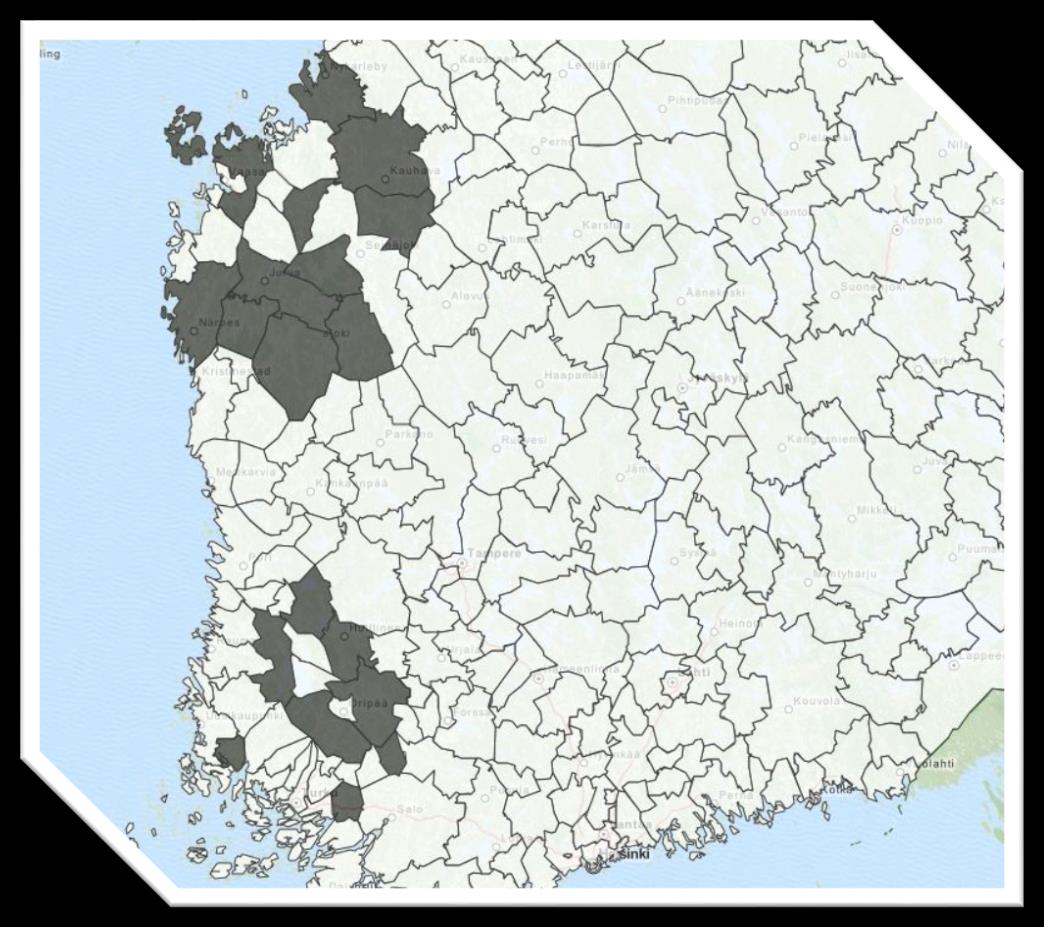 Kalkkunatuotanto keskittynyt yhdelle toimijalle - Länsi-Kalkkunan sopimuskasvattajat