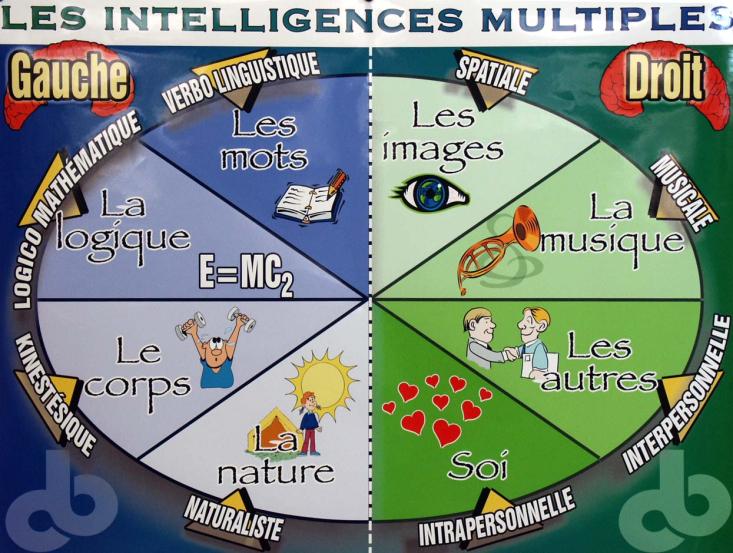 The intelligences (1) Linguistic, (2) Logical-mathematical, (3) Musical, (4) Spatial, (5)