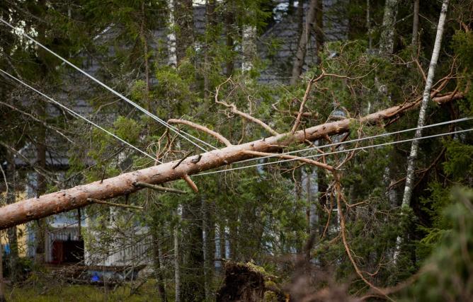 Sähkömarkkinalaki Vuonna 2013 voimaan astunut uusi Sähkömarkkinalaki velvoittaa verkkoyhtiöt parantamaan sähkön jakelun toimitusvarmuutta merkittävästi.
