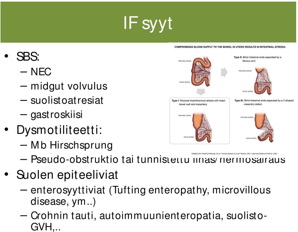 lihas/hermosairaus Suolen epiteeliviat enterosyyttiviat (Tufting