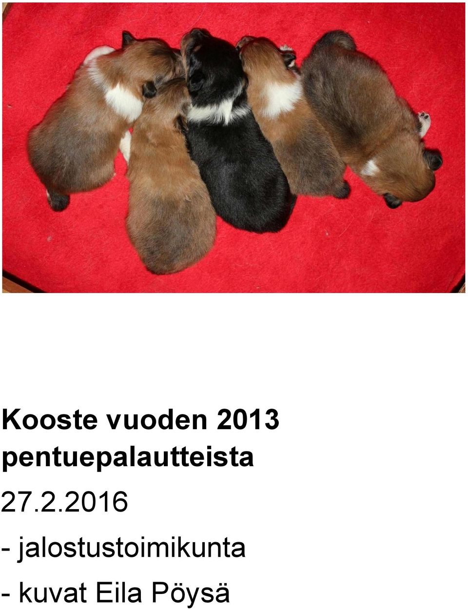 27.2.2016
