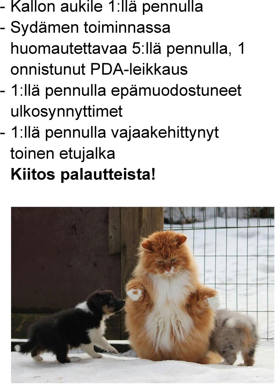 leikkaus 1:llä pennulla epämuodostuneet