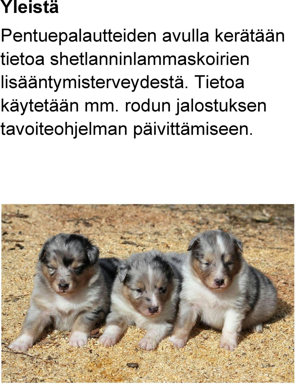 lisääntymisterveydestä.