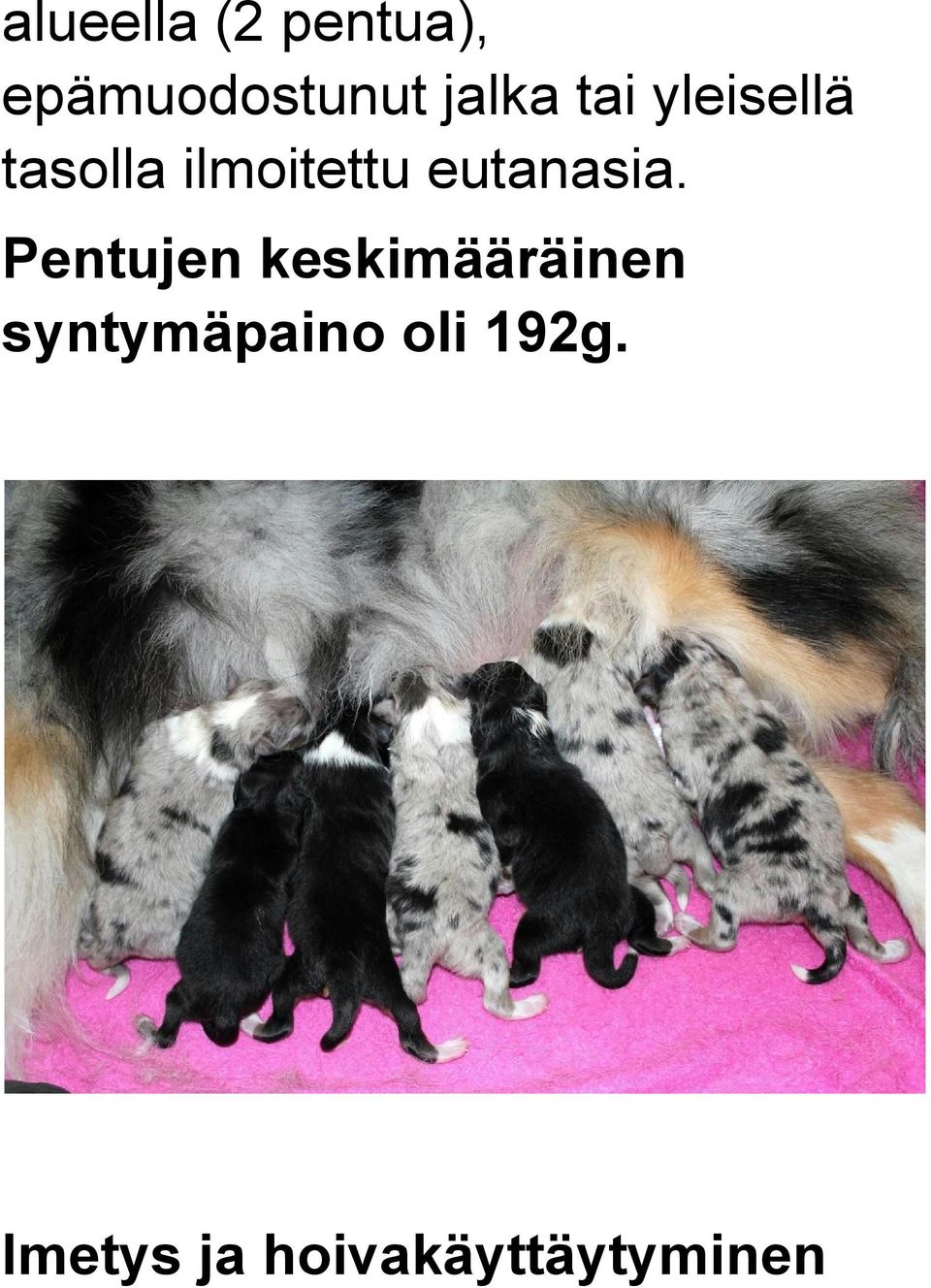 eutanasia.