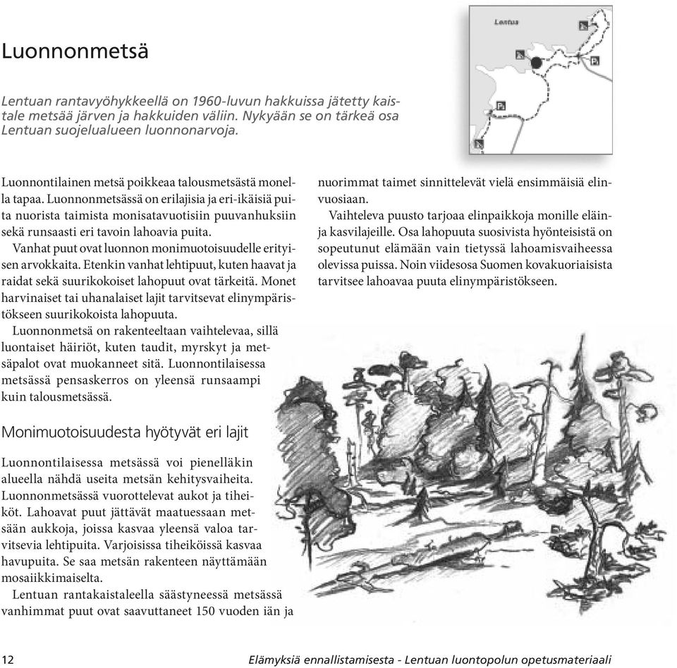 Luonnonmetsässä on erilajisia ja eri-ikäisiä puita nuorista taimista monisatavuotisiin puuvanhuksiin sekä runsaasti eri tavoin lahoavia puita.