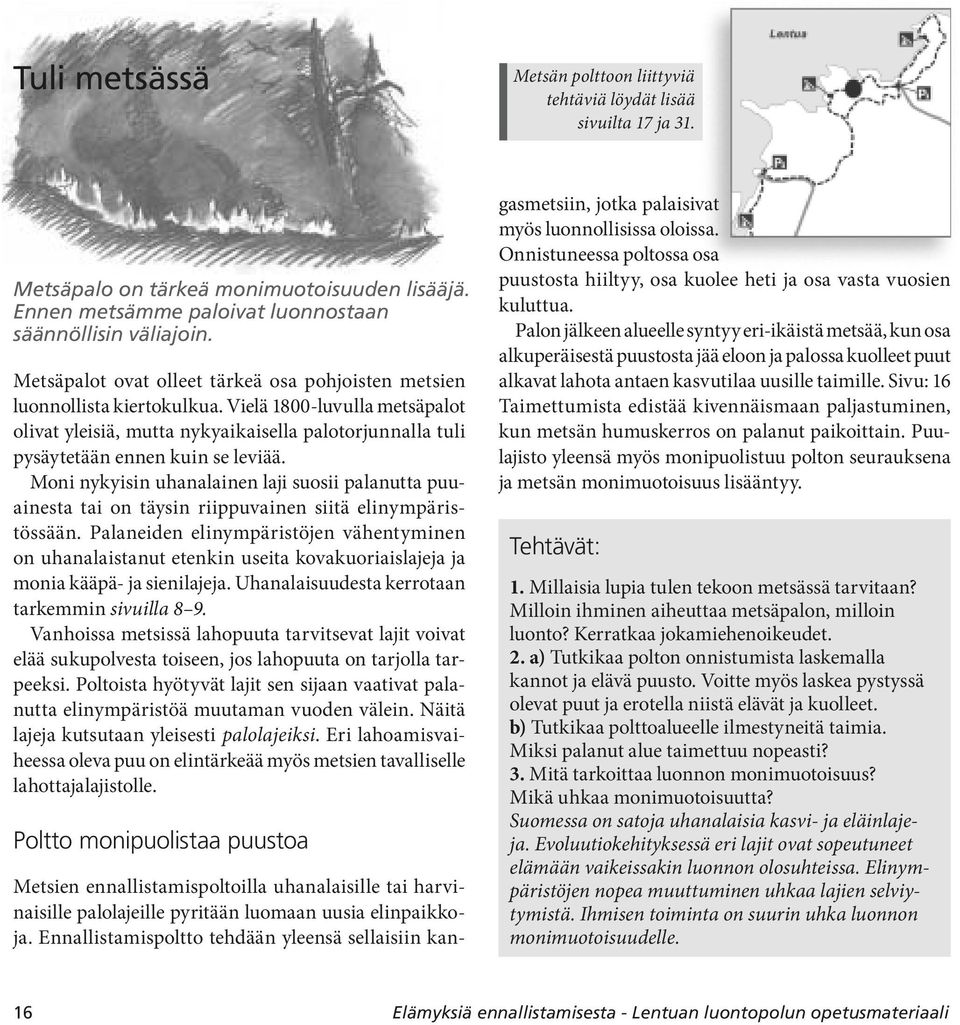 Vielä 1800-luvulla metsäpalot olivat yleisiä, mutta nykyaikaisella palotorjunnalla tuli pysäytetään ennen kuin se leviää.