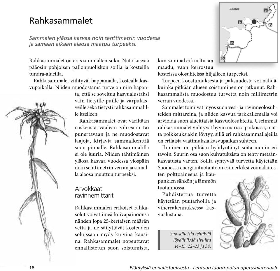 Niiden muodostama turve on niin hapanta, että se soveltuu kasvualustaksi vain tietyille puille ja varpukasveille sekä tietysti rahkasammalille itselleen.