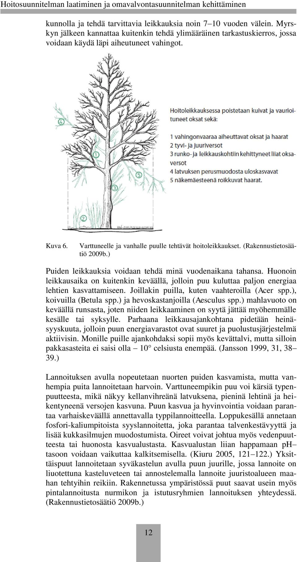 Huonoin leikkausaika on kuitenkin keväällä, jolloin puu kuluttaa paljon energiaa lehtien kasvattamiseen. Joillakin puilla, kuten vaahteroilla (Acer spp.), koivuilla (Betula spp.