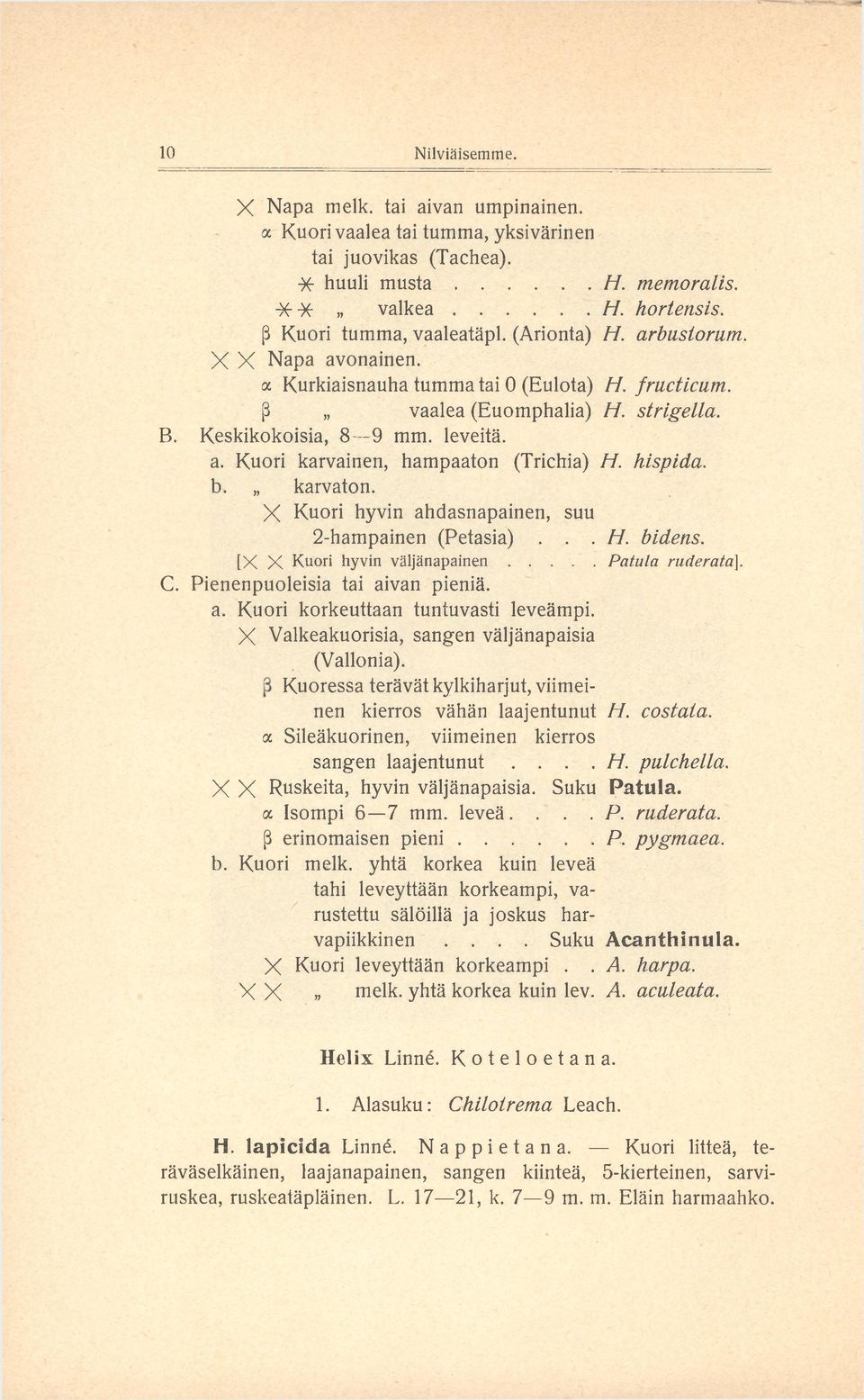 hispida. b. karvaton. X Kuori hyvin ahdasnapainen, suu 2-hampainen (Petasia)... H. bidens. [X X Kuori hyvin v ä ljä n a p a in e n...patula ruderata]. C. Pienenpuoleisia tai aivan pieniä. a. Kuori korkeuttaan tuntuvasti leveämpi.