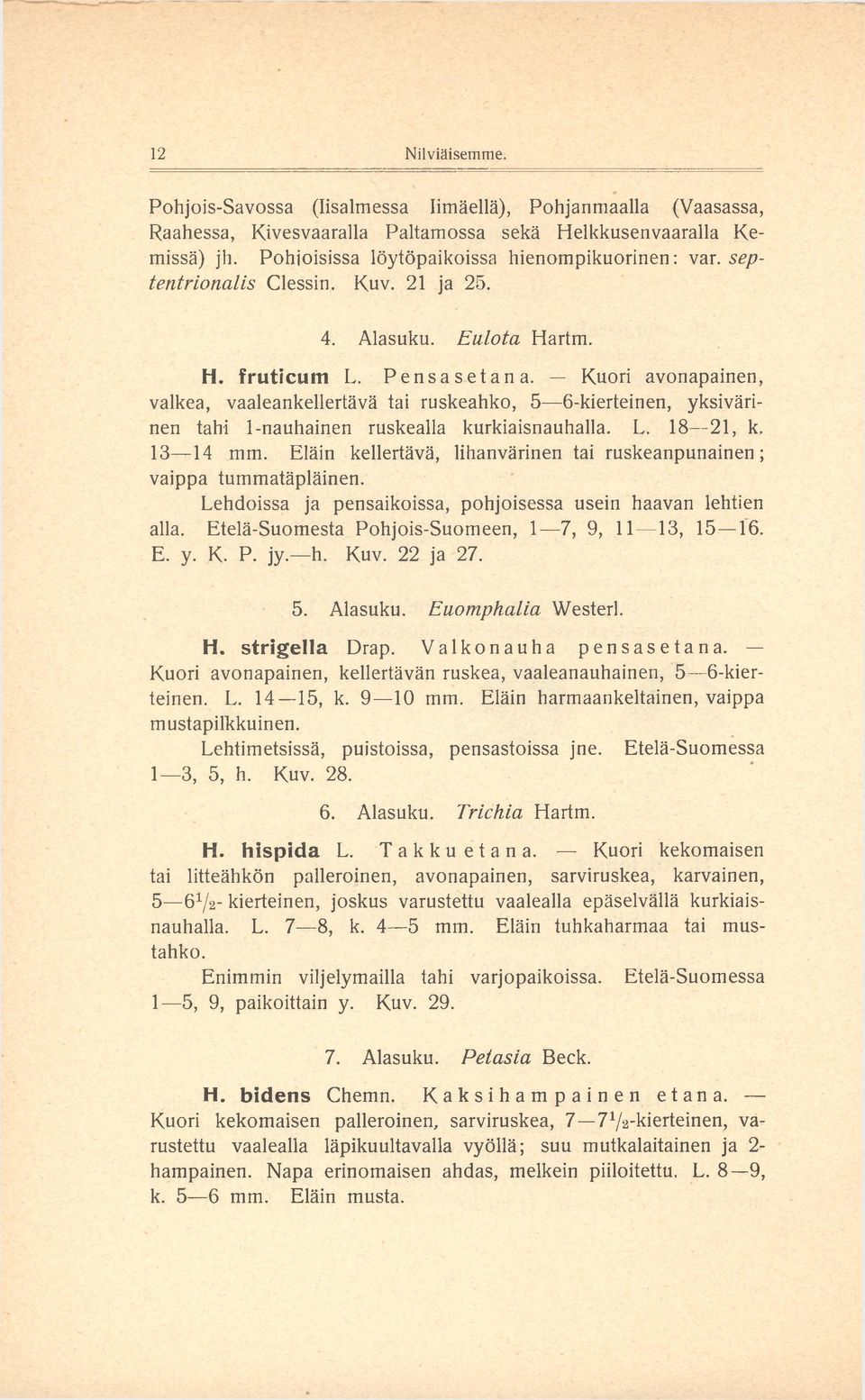 Kuori avonapainen, valkea, vaaleankellertävä tai ruskeahko, 5 6-kierteinen, yksivärinen tahi 1-nauhainen ruskealla kurkiaisnauhalla. L. 18 21, k. 13 14 mm.