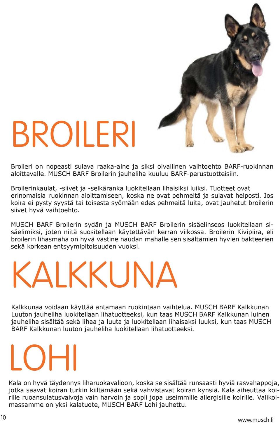 Jos koira ei pysty syystä tai toisesta syömään edes pehmeitä luita, ovat jauhetut broilerin siivet hyvä vaihtoehto.
