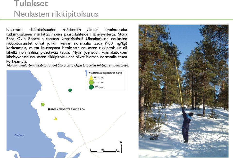 Stora Enso Oy:n Enocellin tehtaan ympäristössä Uimaharjussa neulasten rikkipitoisuudet olivat jonkin verran normaalia tasoa (900 mg/kg) korkeampia,