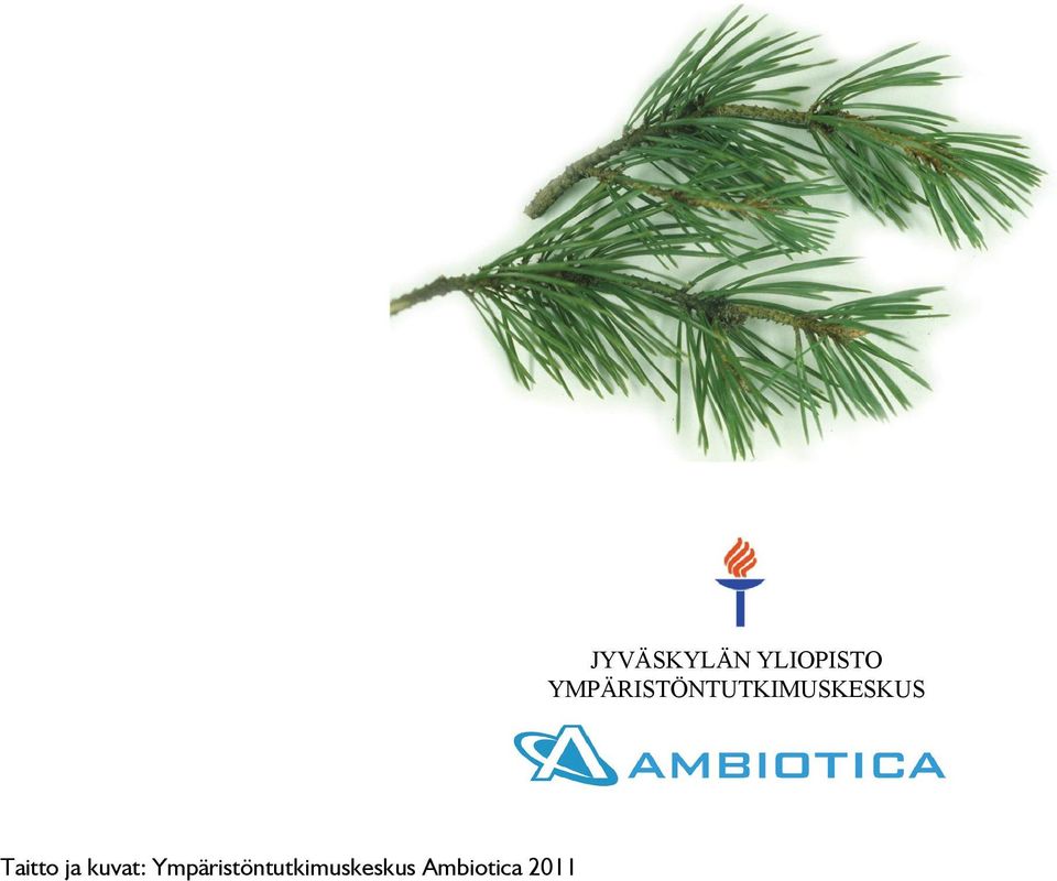 Ambiotica 2011 JYVÄSKYLÄN