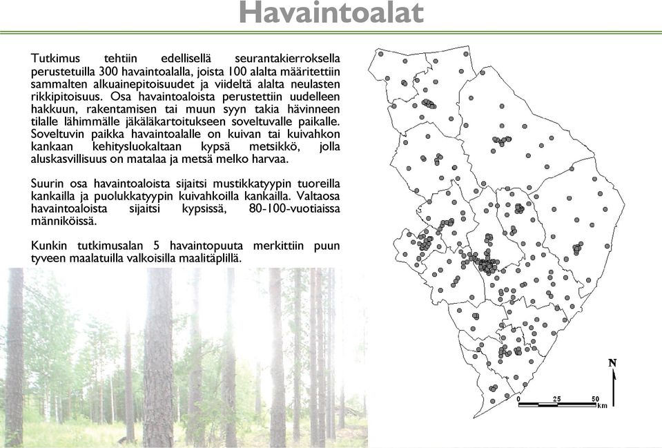 Soveltuvin paikka havaintoalalle on kuivan tai kuivahkon kankaan kehitysluokaltaan kypsä metsikkö, jolla aluskasvillisuus on matalaa ja metsä melko harvaa.