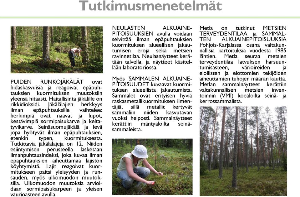 Haitallisinta jäkälille on rikkidioksidi. Jäkälälajien herkkyys ilman epäpuhtauksille vaihtelee: herkimpiä ovat naavat ja lupot, k ä i iä sormipaisukarve kestävimpiä i i k j keltaja k l tyvikarve.