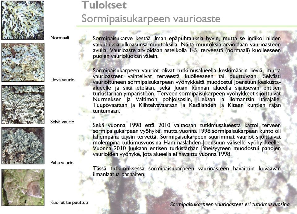 Sormipaisukarpeen vauriot olivat tutkimusalueella keskimäärin lieviä, mutta vaurioasteet vaihtelivat terveestä kuolleeseen tai puuttuvaan.