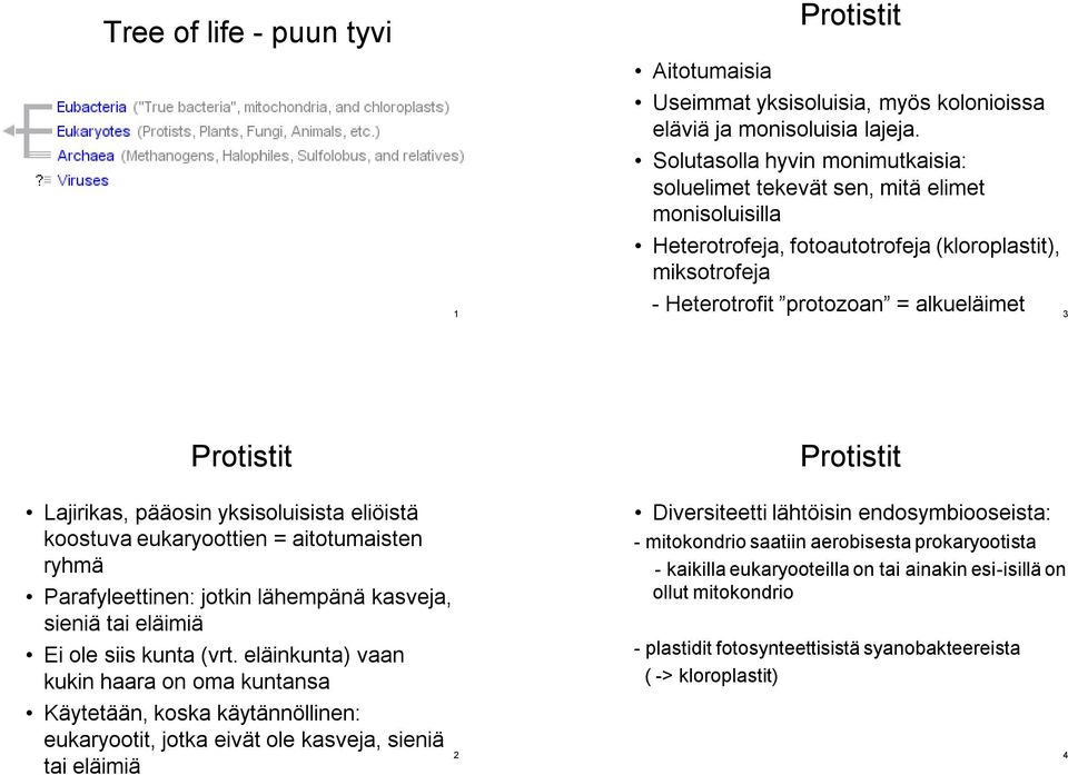 Lajirikas, pääosin yksisoluisista eliöistä koostuva eukaryoottien = aitotumaisten ryhmä Parafyleettinen: jotkin lähempänä kasveja, sieniä tai eläimiä Ei ole siis kunta (vrt.