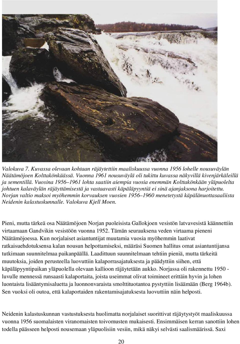 Vuosina 1956 1961 lohta saatiin aiempia vuosia enemmän Kolttakönkään yläpuolelta johtuen kalaväylän räjäyttämisestä ja vastaavasti käpäläpyyntiä ei sinä ajanjaksona harjoitettu.
